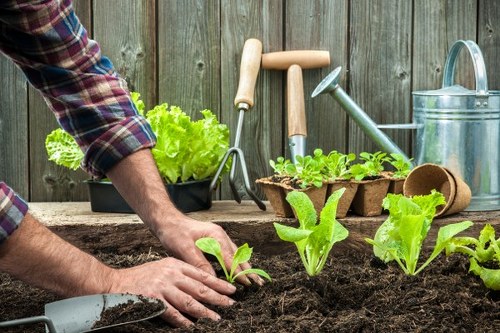 Illustration of cookies and garden tools for Hatch End services