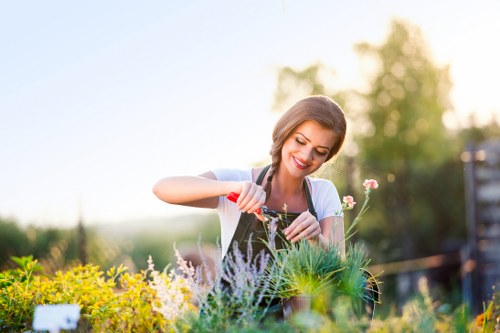 Beautiful garden maintained by professional gardeners in Hatch End
