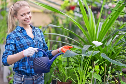 Custom landscape design by Hatch End gardening experts