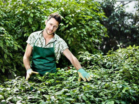 Seasonal garden maintenance services in Hatch End