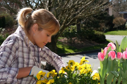 Commercial property garden maintained by Hatch End gardening services